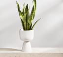 iittala Nappula krukke h23cm Ø15.5 cm Hvit
