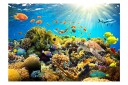 Bakgrunn Underwater Country 250x175 - Artgeist sp. z o. o.