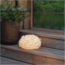 Star Trading Utomhusdekoration Sandy Coral 857 57