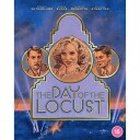 The Day of the Locust 1975 / Medaljens Bakside Bluray