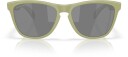 Oakley Frogskins m/PRIZM Black Polarized
