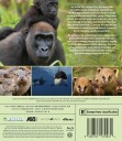 Parenthood Miniserie Bluray