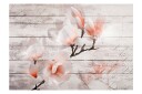 Fototapet Subtlety Of The Magnolia 400x280 - Artgeist sp. z o. o.