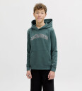 Jack & Jones Jjecaleb Varsity Sweat Hood Noos Jnr Green 164