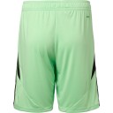 Silkeborg IF 25/26 Keepershorts Grønn L