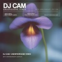 Underground Vibes 30th Anniversary Vinyl