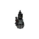 Innsprøytningspumpe BOSCH 0 402 746 674