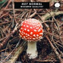 Not Normal, Emil Bø  Modærn Qualitet  CD