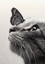 Butterfly Cat Plakat Plakat / 70x100cm