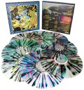 King Gizzard And The Lizard Wizard  Live At Forest Hills Stadium '24  LP/Vinyl