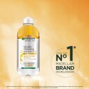 Garnier Hudpleie Garnier Micellar Cleansing Water In Oil 400ml