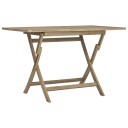 vidaXL Sammenleggbart hagebord grå 120x70x75 cm heltre teak
