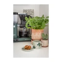 Moccamaster Optio Forest Green