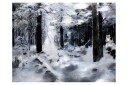 Fototapet Winter Forest 400x309 - Artgeist sp. z o. o.