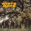 White Bats