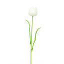 Europalms Crystal Tulip, White 61cm 12x