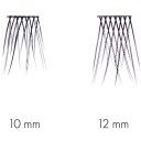 Sweed Beauty Sweed Lashes No Lash Cluster Long
