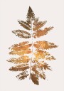 Oak Leaf Print   Gold Plakat / 30x40cm