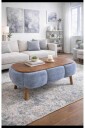 Coffee Table Homitis -
