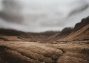 Rural Faroe Islands Plakat Plakat / 40x50cm