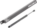 RIDEX 219G0872 Baklukedemper