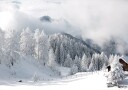 Winter Magic in the Alps Plakat Plakat / 100x150cm