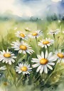 Blooming Daisy Field Plakat / 21x30