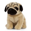 Hund Bamse Mops | Living Nature