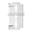 JAGUAR R1 Blad