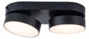 LUTEC CONNECT STANOS INDOOR 2 LED SORT TAKLAMPE Ø10