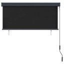 vidaXL Utendørs rullegardin 140x250 cm antrasitt