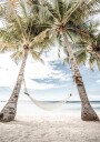 Hammock at the Beach Plakat Plakat / 50x70cm