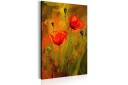 Tavle The Awakening Of Poppy 80X120 Artgeist sp. z o. o.