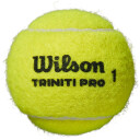 Wilson Triniti Pro Tennisballer (4 stk.)