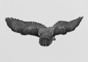 Majestic Owl in Flight Plakat / 40x50
