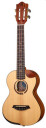 Flight Victoria CEQ-A Tenor