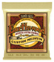 Ernie Ball 2005 Earthwood Custom Bronze