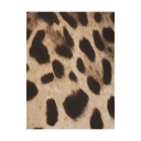 Dolce & Gabbana Dame Accessories Brun ONE SIZE,