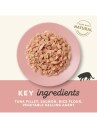 Applaws 70g Kattemat Tunfisk og Laks i Gelé for Voksne Katter