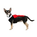 Hanhund Hardanger Hundebunad & Sølje Pakke | 17. Mai Festdrakt For Hunder