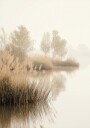Misty Lake Plakat Plakat / 100x150cm
