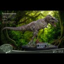 Wonders of the Wild Series  TRex NX Statue