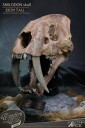 Wonders of the Wild  Smilodon Skull Fossil Polyresin Statue