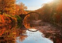 Autumn lake Poster Plakat / 21x30cm