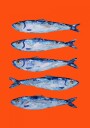 Sardines On Orange Plakat / 50x70