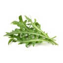 Click And Grow Smart Garden Refill 3 pack   Bladspenat