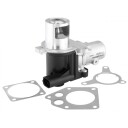 EGR Ventil WAHLER 710928D