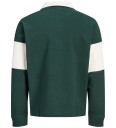 Jack & Jones Collegegenser   JorFrederiksberg   Polo   Furulund   Jack & Jones   10 år (140)   Collegegenser Grønn Hvit