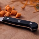 Zwilling Gourmet kokkekniv 20 cm 1721205-01-0 1721204-01-0