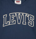 Levi's Big Dipper Collegiate Ls Tee 10 år
